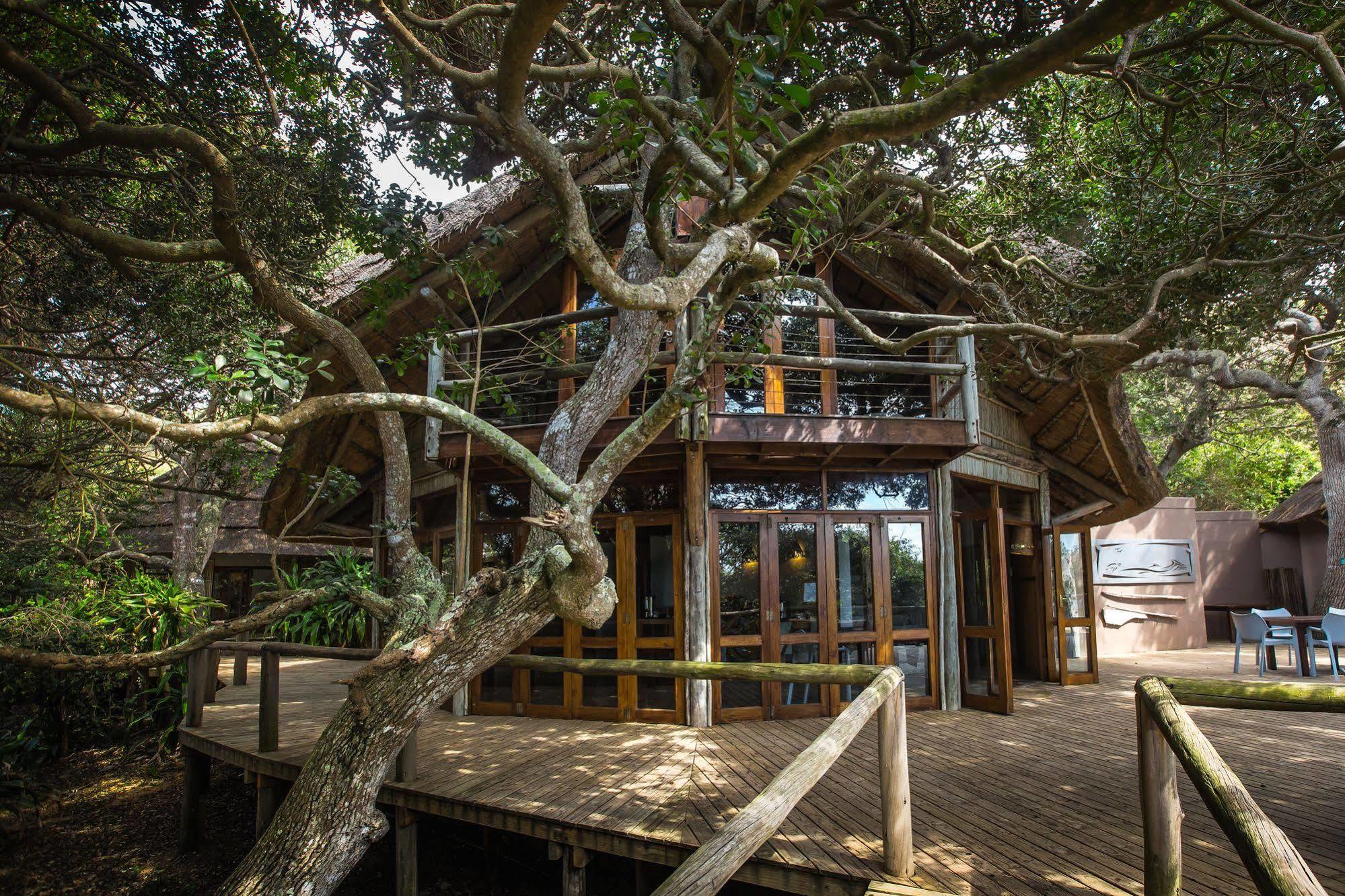 Thonga Beach Lodge Mabibi 외부 사진