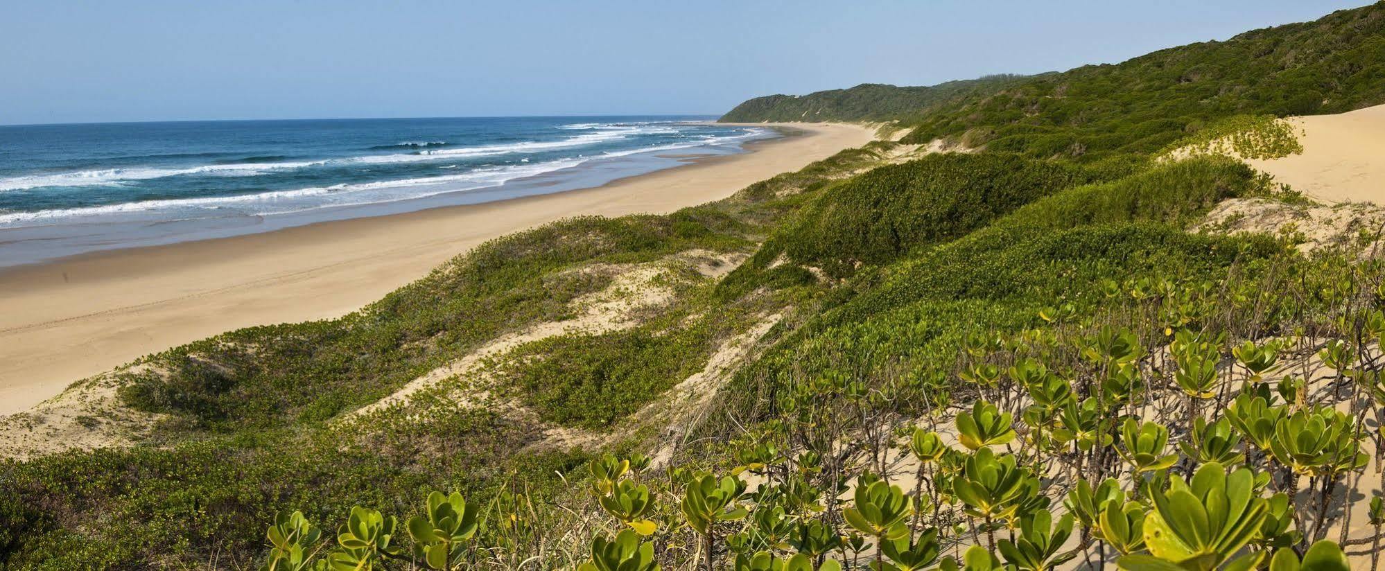Thonga Beach Lodge Mabibi 외부 사진